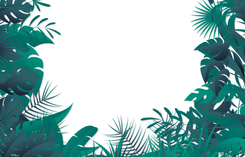 foliage